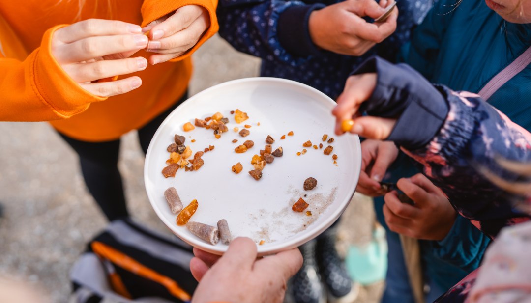 Gemeinsam auf Schatzsuche am Strand – Kinder entdecken funkelnden Bernstein und lernen spielerisch die Naturwunder der Ostsee kennen., © TMV/Gross Kinder halten eine Schale mit frisch gesammeltem Bernstein und Sand bei einer Strandexkursion an der Ostsee.