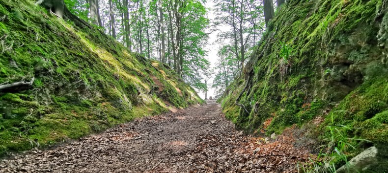 Naturschutzgebiet Granitz auf R&uuml;gen
Teufelsschlucht bei Binz, &copy; Biosph&auml;renreservat S&uuml;dost-R&uuml;gen