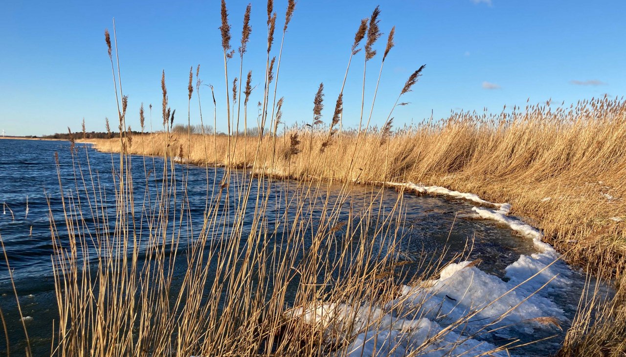 Winterbodden_KB&auml;rwald, &copy; Nationalparkamt Vorpommern/ K.B&auml;rwald