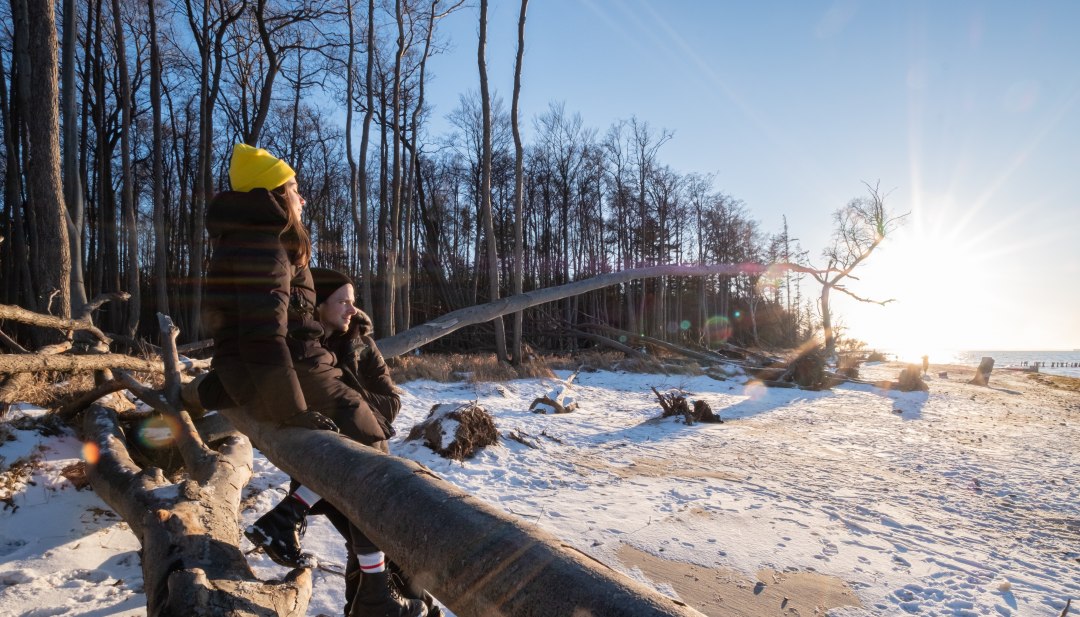 Am Strand von Torfbrücke entsteht ein stiller Moment, wenn zwei Menschen im warmen Winterlicht ankommen und den weiten, natürlichen Küstenwald erkunden., © MV-T/Scholz-Witzel Zwei Personen sitzen auf einem umgestürzten Baum am winterlichen Strand von Torfbrücke und blicken in die tief stehende Sonne über der Ostsee.
