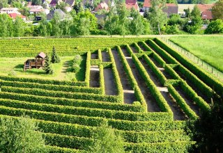 Irrgarten am Waldeck in Dargun // &copy; Stadt Dargun