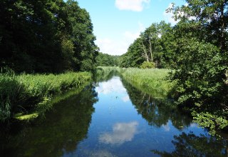 Warnow bei Kaarz, &copy; Naturpark Sternberger Seenland; Volker Brandt
