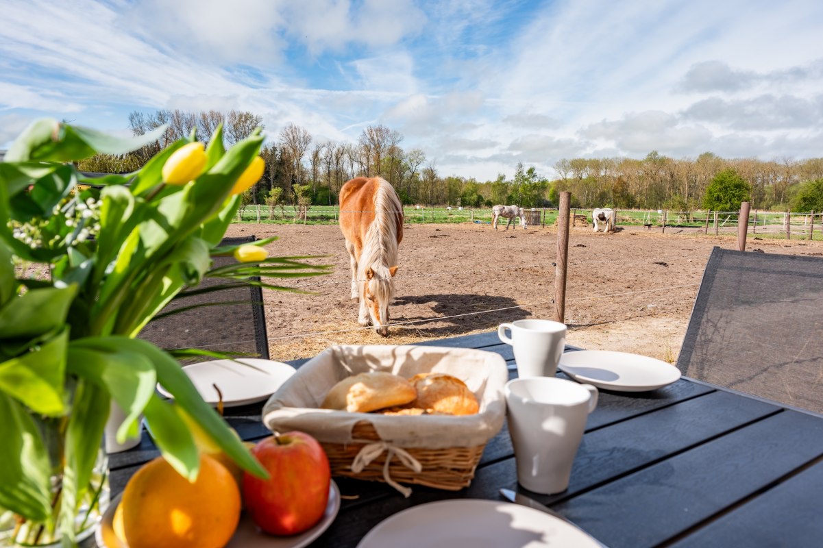 Frühstück mit Blick zum Pferd // © Süß GbR Frühstück mit Blick zum Pferd // © Süß GbR