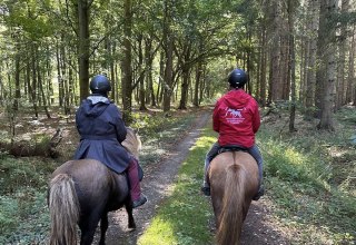 Reiten durch den Dar&szlig;er Wald, &copy; Islandpferdehof Fischland