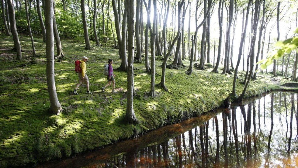 Wanderung durch den Küstenwald bei Lietzow // © MV-T/outdoor-visions.com Wanderung durch den Küstenwald bei Lietzow // © MV-T/outdoor-visions.com