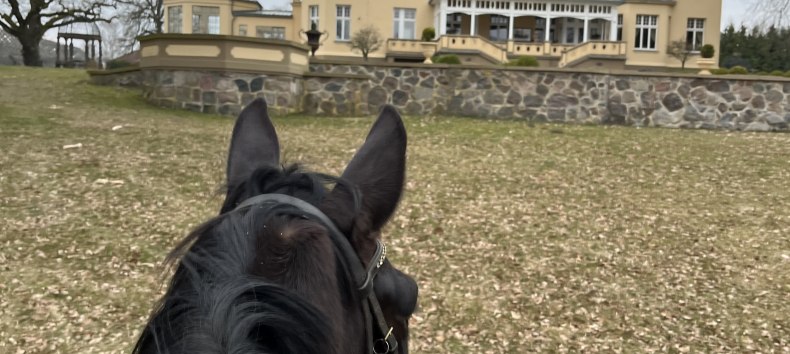 Bernsteinreitertag in Wendorf, &copy; de