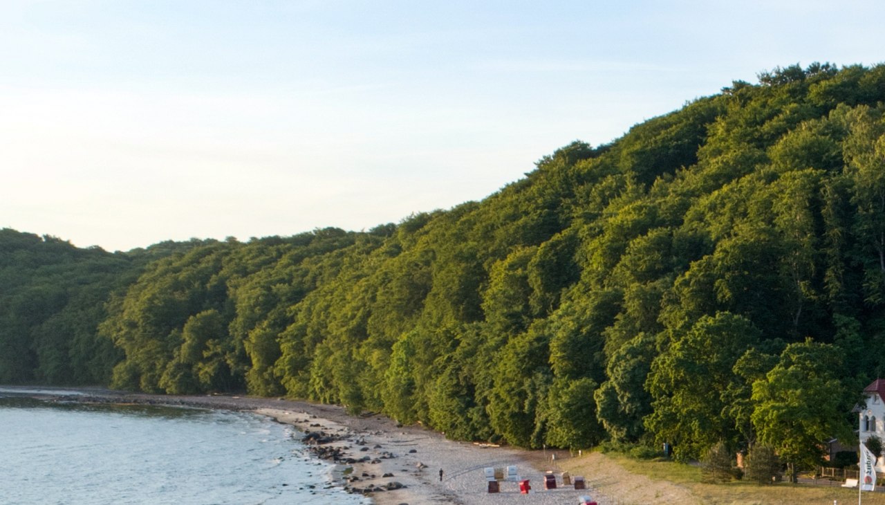 Für Kinder: Mit dem Ranger Wald und Strand entdecken, © Binzer Bucht Tourismus Für Kinder: Mit dem Ranger Wald und Strand entdecken, © Binzer Bucht Tourismus