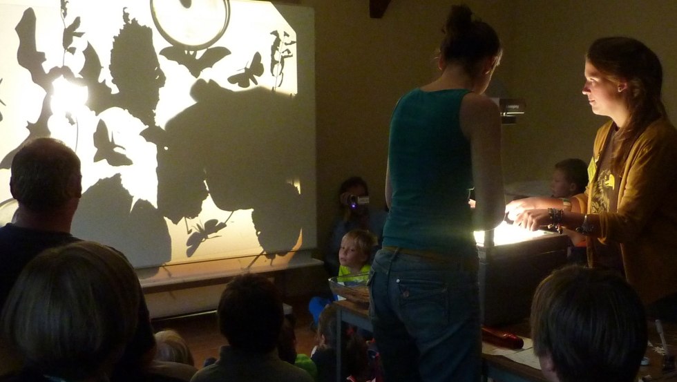 Kratzeburg vleermuisnacht, © 11-kratzeburger-fledermausnacht Kratzeburg vleermuisnacht, © 11-kratzeburger-fledermausnacht