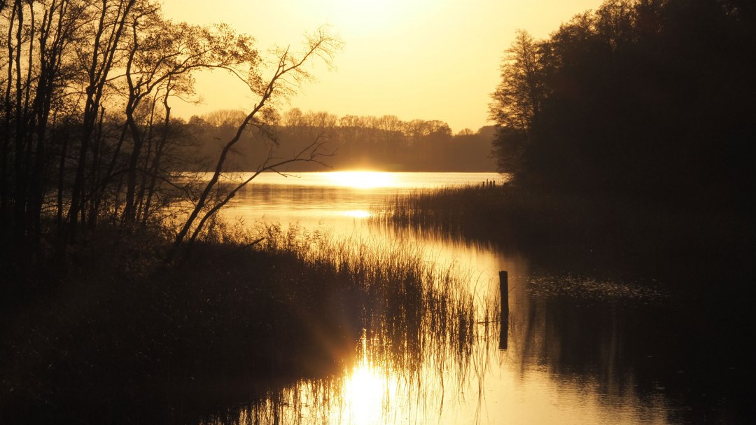 Badestelle am Vilzsee, © Verein für innovative Jugendbildung e.V.