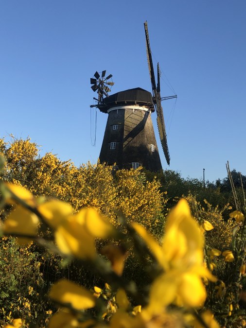 Holländermühle Benz vom Weg, © Kulturmühle Benz e.V.