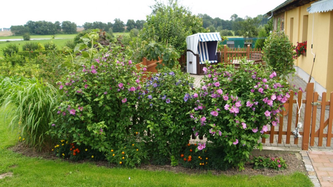 Eine gemütliche Terrasse lädt zum Entspannen ein, © Dinserhof Eine gemütliche Terrasse lädt zum Entspannen ein, © Dinserhof