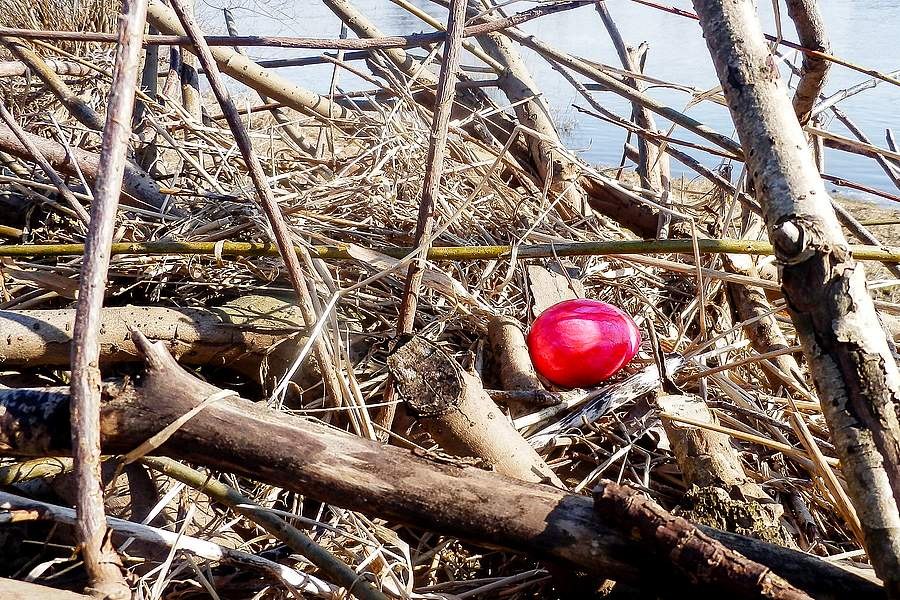 event-osterrallye-koenigsstuhl, &copy; NZK-Lehmann