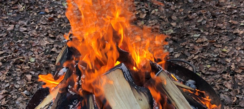 © Stadtmarketing Ribnitz-Damgarten © Stadtmarketing Ribnitz-Damgarten