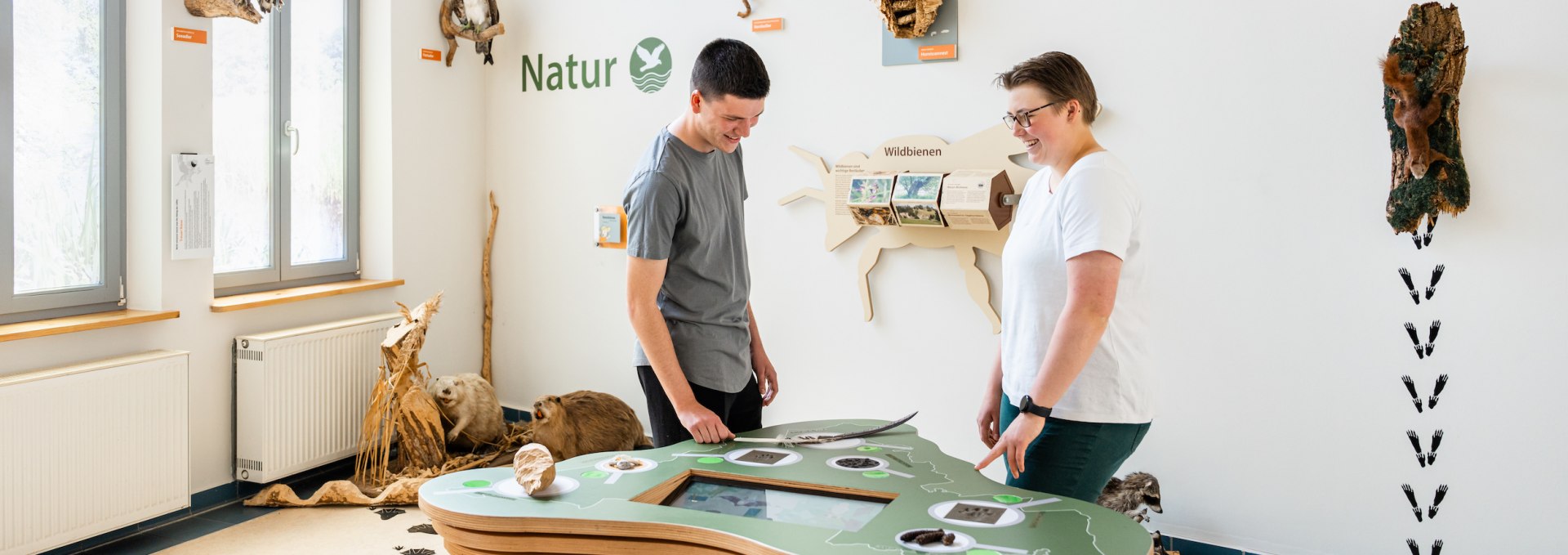 Naturparkzentrum Warin / Sternberger Seenland - zwei Freunde schauen sich die Ausstellungsst&uuml;cke an