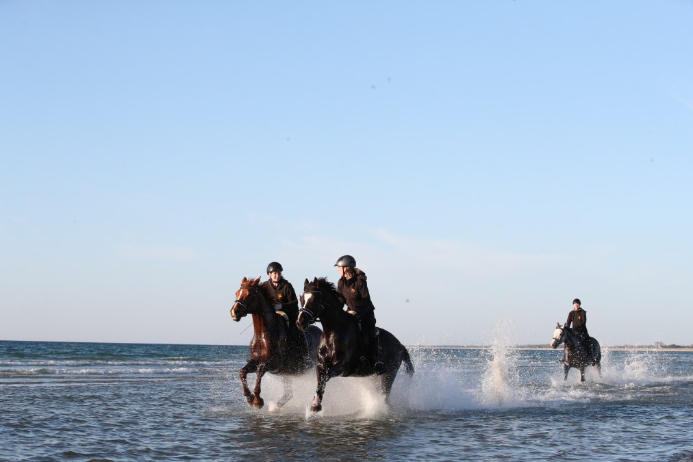Reiten am Strand, &copy; TMV/ACP Pantel