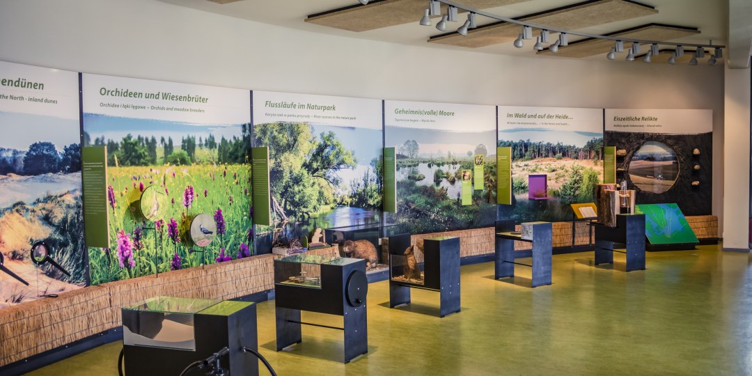 Naturpark Am Stettiner Haff - Ausstellungsräume, © tvv/Philipp Schulz
