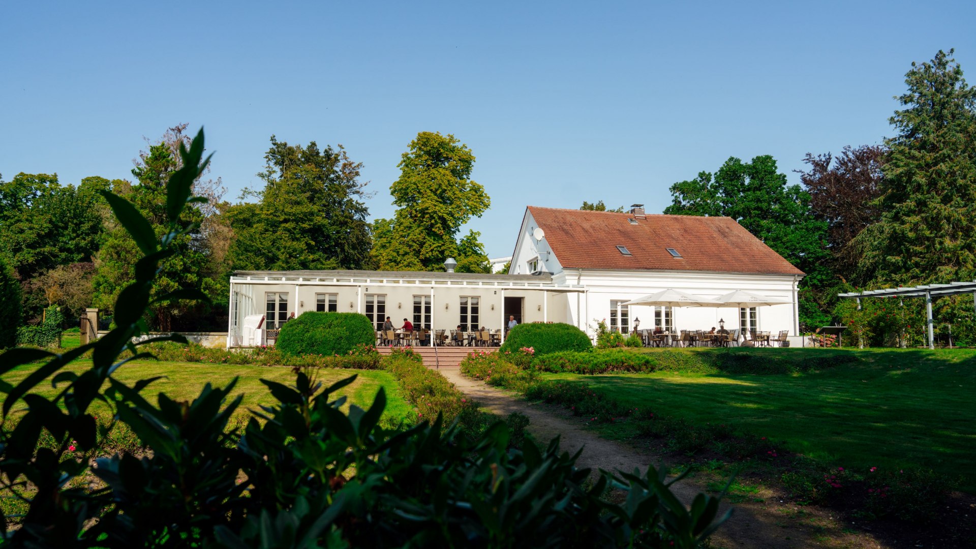 Das Rosencafé in Putbus auf Rügen, ein weißes Gebäude mit rotem Dach, umgeben von gepflegten Gärten und grünen Büschen. Vor dem Café laden Tische auf der Terrasse zu entspannten Stunden unter freiem Himmel ein. Im Hintergrund ragen hohe Bäume in den blauen Himmel. // Das idyllische Rosencafé in Putbus auf Rügen – ein perfekter Ort für Genussmomente inmitten eines liebevoll gestalteten Gartens. // © MV-T/Petermann Das Rosencafé in Putbus auf Rügen, ein weißes Gebäude mit rotem Dach, umgeben von gepflegten Gärten und grünen Büschen. Vor dem Café laden Tische auf der Terrasse zu entspannten Stunden unter freiem Himmel ein. Im Hintergrund ragen hohe Bäume in den blauen Himmel.