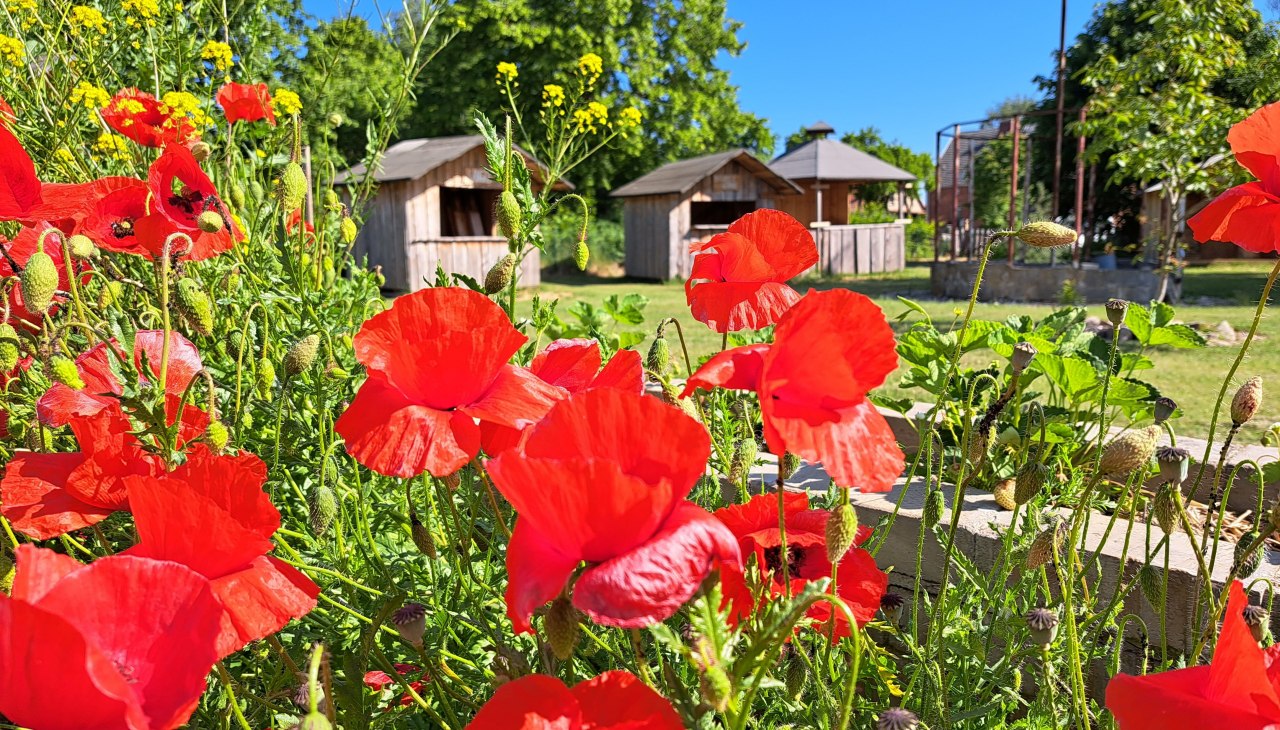Hofansicht mit den urigen H&uuml;tten, &copy; Sabrina Brodoch