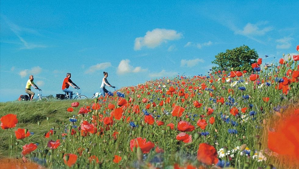Urlaub vom Alltag auf einer Radtour durch die farbenfrohen Landschaften Mecklenburg-Vorpommerns // &copy; MV-T/ Werk3