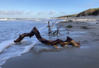 © Nationalparkamt Vorpommern