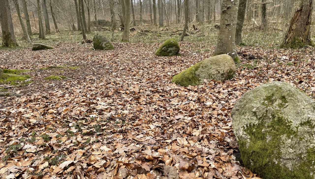 Apostelsteine 1, © TZ Südliche Boddenküste Apostelsteine 1, © TZ Südliche Boddenküste