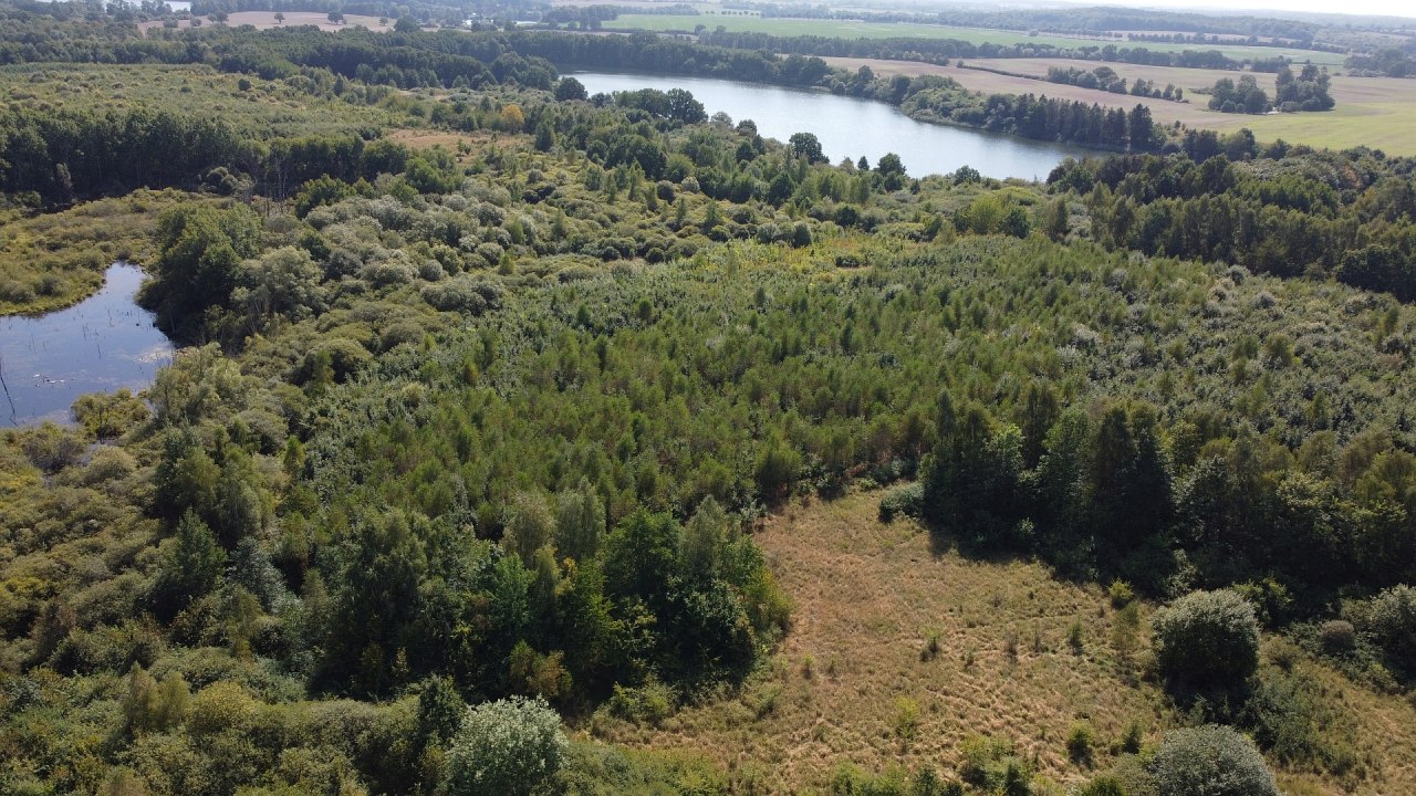 Klimawald Biosph&auml;renreservat Schaalsee // &copy; Landesforst MV