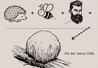 © Müritzeum © Müritzeum
