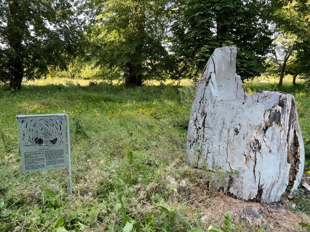 Station 1 Ei, &copy; TZ S&uuml;dliche Boddenk&uuml;ste