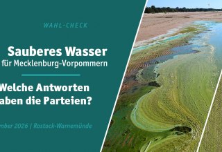Einladung zum Wahl-Check "Sauberes Wasser" // &copy; stock.adobe.com _AVTG, mivod, keBu.Medien