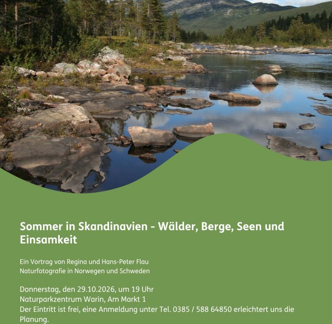 Affiche lezing ‘Zomer in Scandinavië’ // © Naturpark Sternberger Seenland Affiche lezing ‘Zomer in Scandinavië’ // © Naturpark Sternberger Seenland