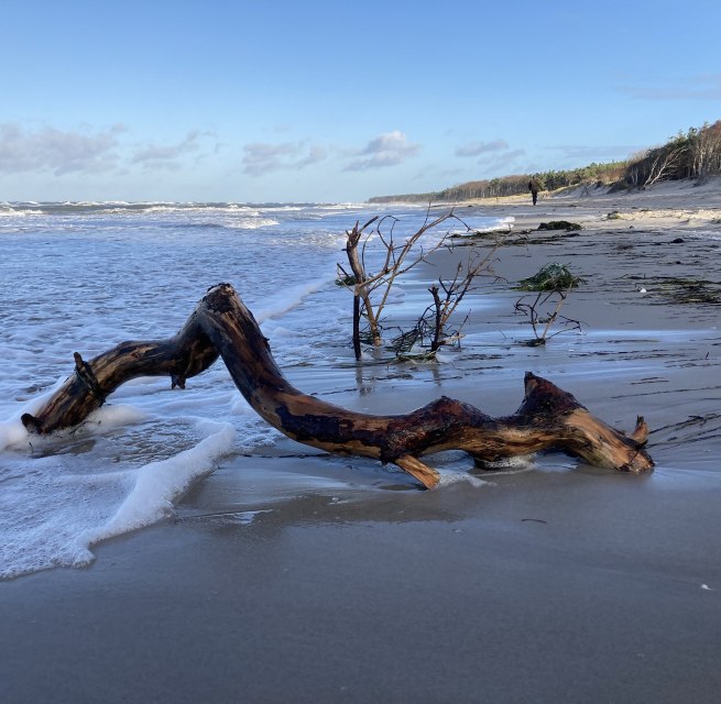 © Nationalparkamt Vorpommern