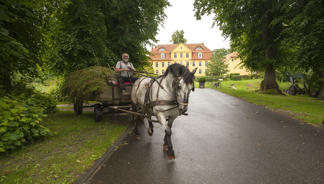 Pferdewagen vor Schloss L&uuml;hburg, &copy; Christin Dr&uuml;hl