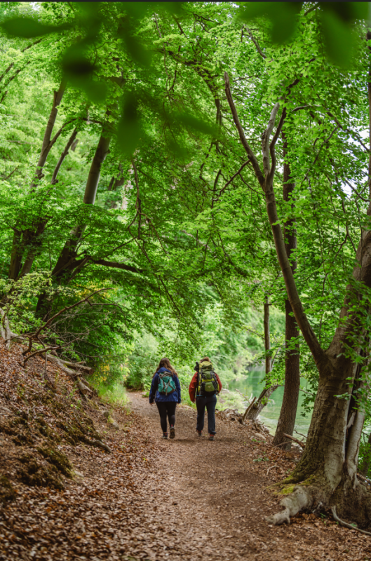 wandern, &copy; mvt-g&auml;nsicke