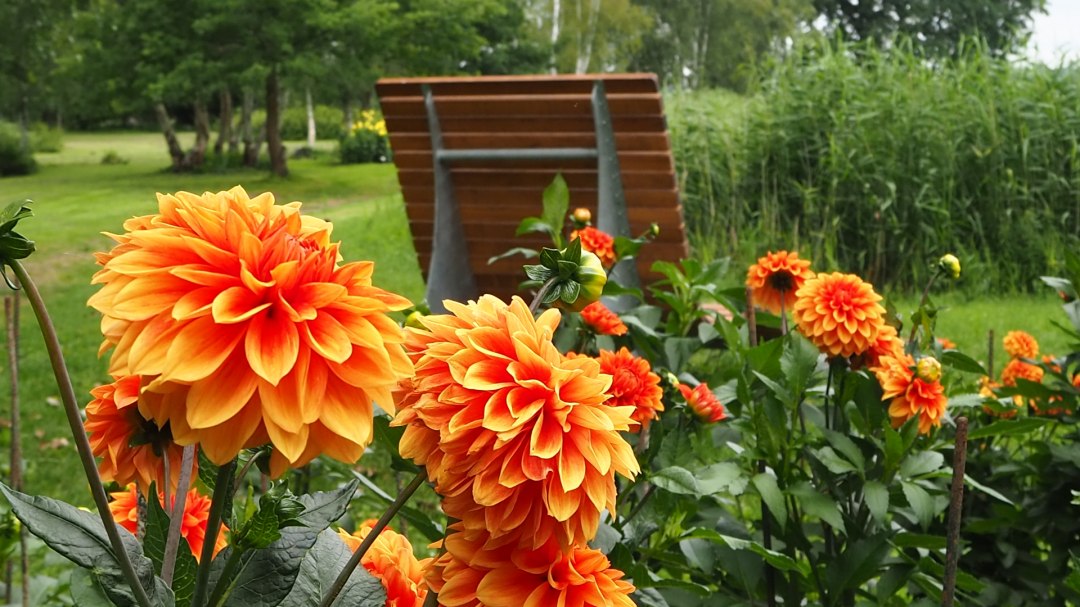 Hier können die Schöhnheit des Kurparks genießen, © TVVR