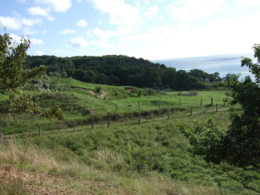 Schapenweiden, © Nils Thorsten Volk Schapenweiden, © Nils Thorsten Volk