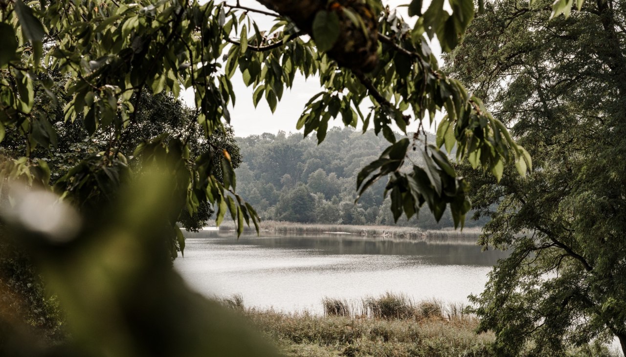 Klein Plastener See, © Finn Steen Klein Plastener See, © Finn Steen