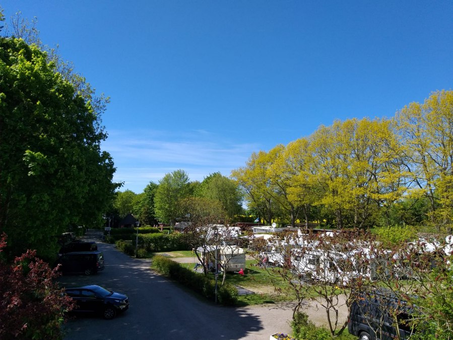 Blick auf den vorderen Bereich, © Marko Scherzer