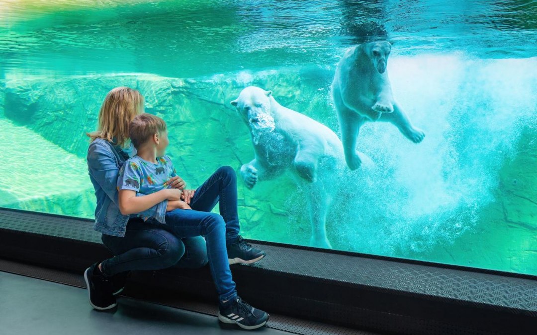 Besuch im Polarium Rostock, © TMV/Tiemann