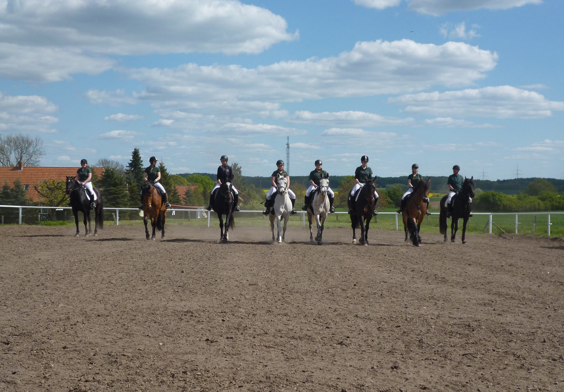 © Reiterhof Enning © Reiterhof Enning