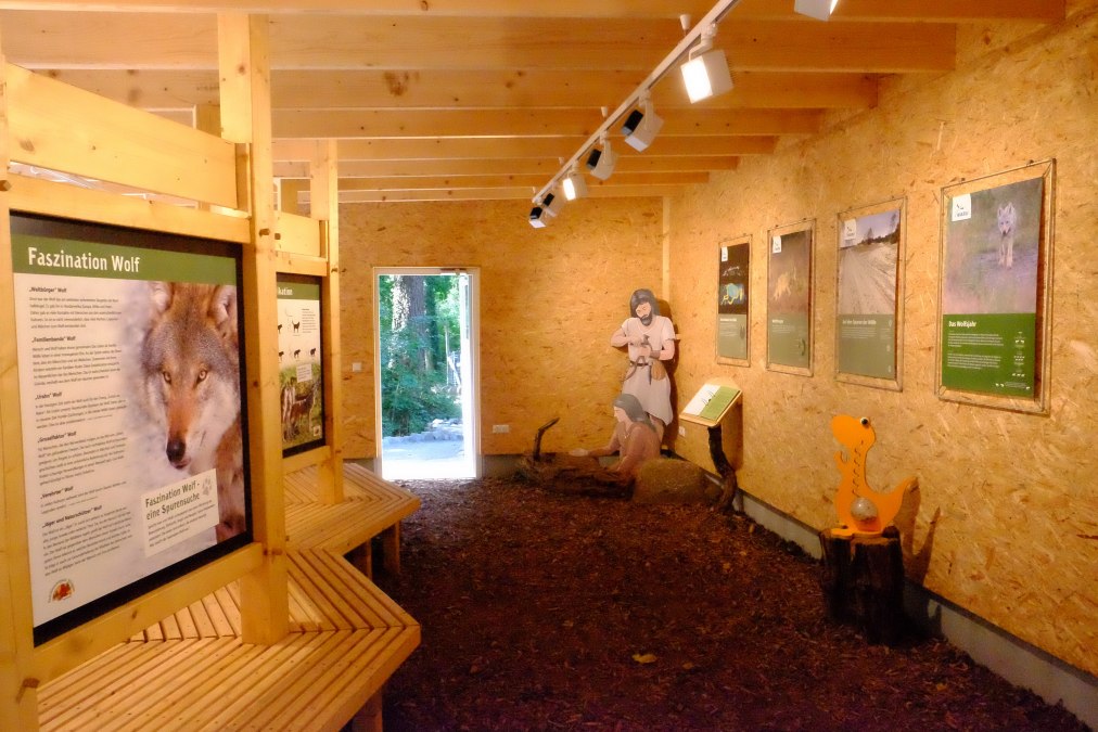 Im Infohaus gibt es alles Wissenswerte zu den Themen "Wiederkehrer" und "Neub&uuml;rger" mit dem Schwerpunkt Wolf., &copy; Tierpark Wolgast