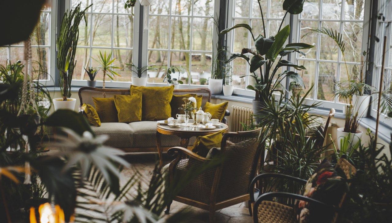 Das Schmuckstück im Herrenhaus Viecheln ist der Wintergarten, © Till Kleine-Möller Das Schmuckstück im Herrenhaus Viecheln ist der Wintergarten, © Till Kleine-Möller