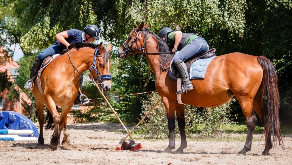 Geschick, Feingefühl und Balance - das braucht man bei Reiterspielen // © Reit- und Fahrverein Strameuß Geschick, Feingefühl und Balance - das braucht man bei Reiterspielen // © Reit- und Fahrverein Strameuß