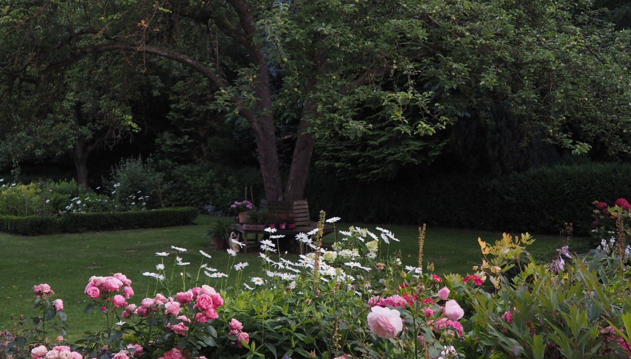 Baumbank und Beete am alten Apfelbaum, © Annelie Maiwald Baumbank und Beete am alten Apfelbaum, © Annelie Maiwald