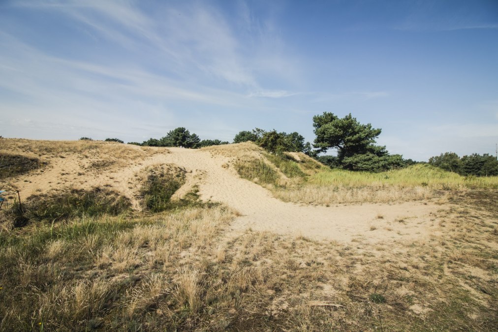 Wanderdünen Altwarp im Naturpark am Stettiner Haff, © tvv/Philipp Schulz