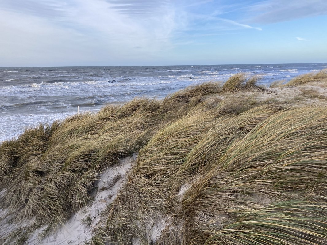 &copy; Nationalparkamt Vorpommern