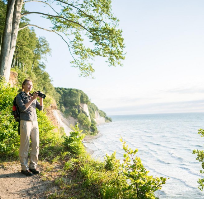 Im Einklang mit der Natur: Entdeckungsreise entlang des Hochuferwegs im majest&auml;tischen Nationalpark Jasmund, umgeben von den imposanten Kreidefelsen., &copy; TMV/Roth