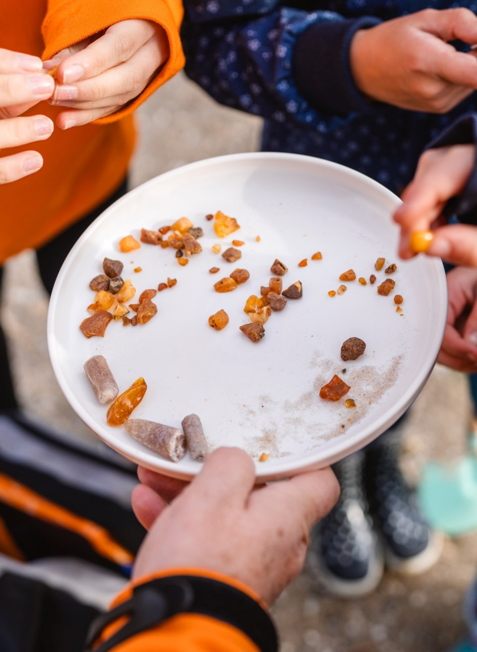 Nahaufnahme eines wei&szlig;en Tellers mit kleinen Bernsteinen und Steinen, die von Kindern und einem Erwachsenen untersucht werden.