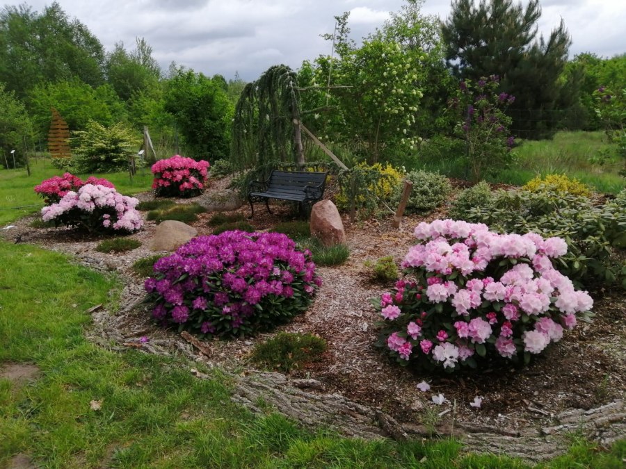 B&uuml;rgerpark Kummer, &copy; Harry Baase