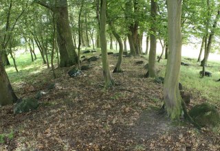 Reste der Gro&szlig;steingr&auml;ber, &copy; Sabrina Wittkopf-Schade