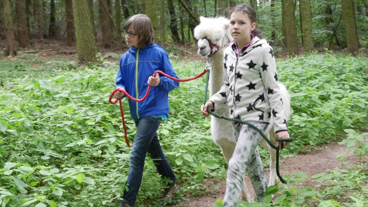 Kinder erleben mit den Alpakas die Natur. // © Lena Marie Hahn Kinder erleben mit den Alpakas die Natur. // © Lena Marie Hahn